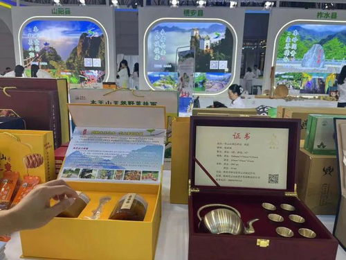 商洛文旅閃耀絲路盛會后，數字文化奇旅不停歇！